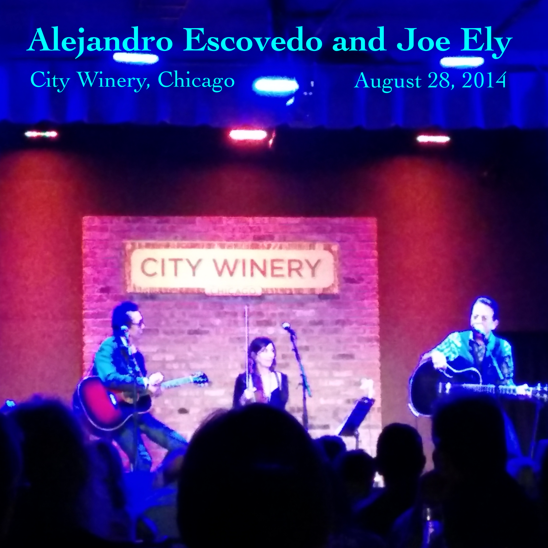 AlejandroEscovedoJoeEly2014-08-28CityWineryChicagoIL (1).png